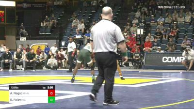 133 lbs Final - Aaron Nagao, Minnesota vs Rayvon Foley, Michigan State