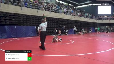 95 lbs Quarterfinal - Bella Peterson, Mehoopany vs Nina Merunka, Harmony