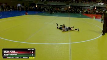 45 lbs Cons. Round 2 - Micah Hoppe, Marshall/Lakeview/RTR vs Kashtyn Dorn, Adrian