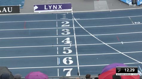 Youth Boys' 100m Hurdles Championship, Semi-Finals 7 - Age 12