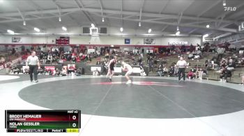 165 lbs Semifinal - Brody Hemauer, UW-Parkside vs Nolan Gessler, Tiffin