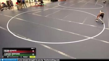 65 lbs Round 3 (6 Team) - Carson Hermann, Scott West vs Peter Schutz, Wayzata