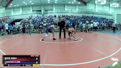 126 lbs Champ. Round 2 - Bodie Abbey, MI vs Caedmon Clark, OH