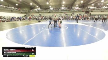 65 lbs Cons. Round 3 - David Briggs, Columbia Wrestling Club-AAA vs Nathan Robb, Harrisonville Youth Wrestling Club-AAA