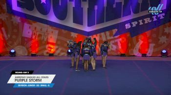 Amistad Eagles All Stars - PURPLE STORM [2025 L2 Junior - D2 - Small - B Day 2] 2025 Cheer Power Southern Nationals