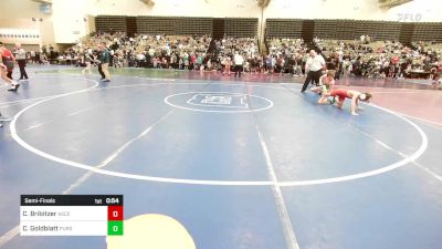 99-I2 lbs Semifinal - Christian Bribitzer, Ascend vs Caleb Goldblatt, Pursuit Wrestling Club