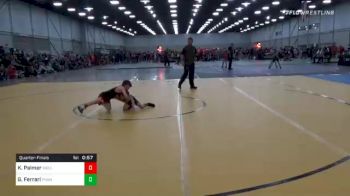 55 lbs Quarterfinal - Kolt Palmer, Well Trained vs Gino Ferrari, Team Punisher Wrestling