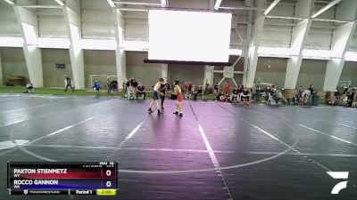 106 lbs Cons. Semi - Paxton Stienmetz, WY vs Rocco Gannon, WA