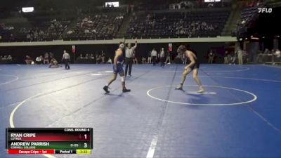 141 lbs Cons. Round 4 - Andrew Parrish, Cornell College vs Ryan Cripe, Luther