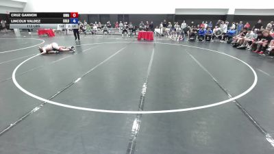 113 lbs Cruz Gannon, Iowa vs Lincoln Valdez, Team Colorado FS