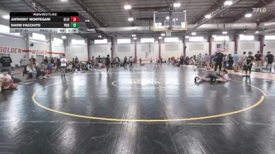 155 lbs Round 1 (12 Team) - Anthony Montegari, Steller Trained Jet vs David Facciuto, Prime Gold