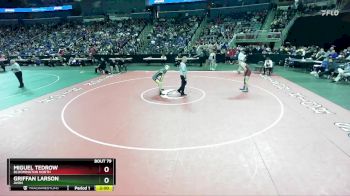 165 lbs Champ. Round 1 - Griffan Larson, Avon vs Miguel Tedrow, Bloomington North