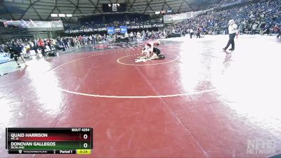 4A 150 lbs Cons. Round 2 - Donovan Gallegos, Richland vs Quaid Harrison, Mt. Si