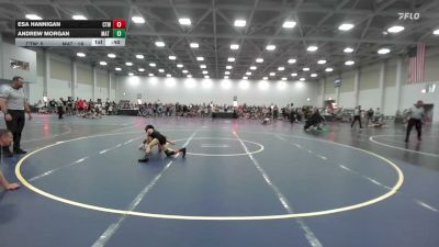 75 lbs Rr Rnd 1 - Esa Hannigan, CTWHALE Beluga - EL vs Andrew Morgan, Mat Warriors - EL