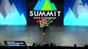 The Dance Vault - Mini Elite Large Pom [2025 Mini - Pom - Large Finals] 2025 The Dance Summit