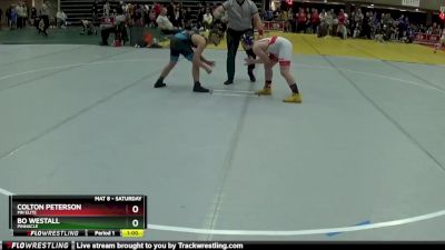 115 lbs Round 5 - Bo Westall, Pinnacle vs Colton Peterson, Mn Elite