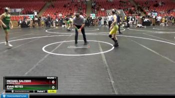 100 lbs Round 1 - Michael Salcedo, Olmsted Falls vs Evan Reyes, Medina