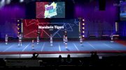 Mandarin Tigers - Rec Cheer [2023 Show Cheer 1 Ltd. Tiny Mite Small Day 3] 2023 Pop Warner National Cheer & Dance Championship