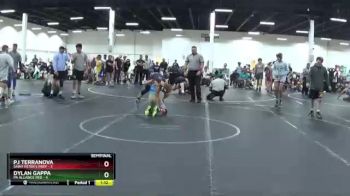 98 lbs Semis (4 Team) - PJ Terranova, Saint Peter`s Prep vs Dylan Gappa, PA Alliance Red