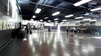 157 lbs Cons. Round 3 - Brody Martinez, Palm Desert vs Georges Daniel, St. Augustine