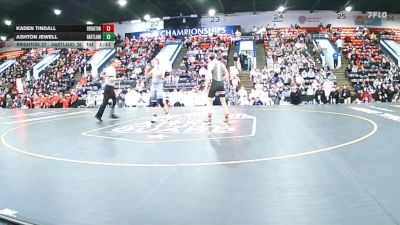 157 lbs Semifinals (8 Team) - Kaden Tindall, Brighton vs Ashton Jewell, Hartland