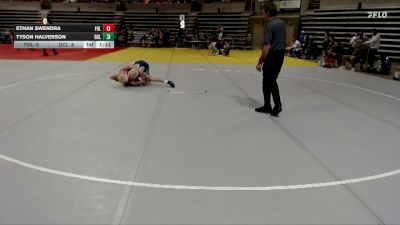 115 lbs Placement (4 Team) - Tyson Halverson, Dassel-Cokato-Litchfield vs Ethan Swendra, Foley