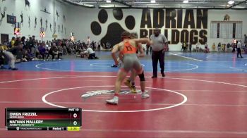 174 lbs Champ. Round 2 - Owen Frizzel, Heidelberg vs Nathan Mallery, Averett University