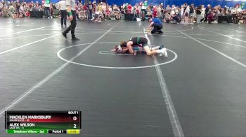 68 lbs Finals (2 Team) - Macklen Marksbury, Killer Elite vs Alex Wilson, Lake WC