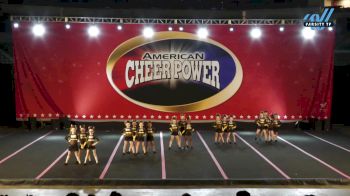 Interboro Hornets Cheerleading - Mini Buzz [2024 L1 Performance Rec - 8Y (NON) - Large Day 2] 2024 Cheer Power Trenton Showdown