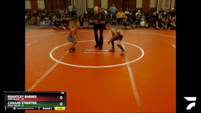 53 lbs Quarterfinals (8 Team) - Canaan Streeter, Ninja Killer vs Brantley Barnes, Ares Black