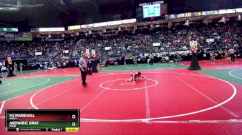 60 lbs Cons. Round 3 - Mj Marshall, WSW1 vs Akennric Gray, MSQA