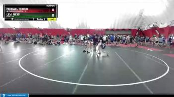 117-117 lbs Round 3 - Levi Ness, Lodi vs Michael Schick, Glenbrook South