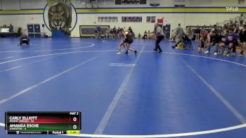 100 lbs Round 4 (6 Team) - Carly Elliott, Mount Vernon vs Amanda Esche, Johnston