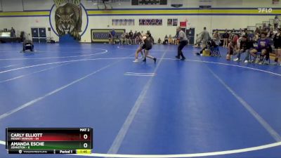 100 lbs Round 4 (6 Team) - Carly Elliott, Mount Vernon vs Amanda Esche, Johnston