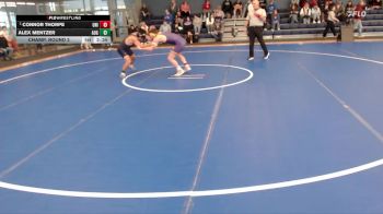 141 lbs Champ. Round 2 - Connor Thorpe, Northern Iowa vs Alex Mentzer, Augustana (SD)