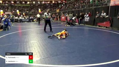 50 lbs Quarterfinal - Zander Polnasek, Pocono Mountain East vs Xavier Jackson, Valley