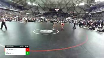 1A 138 lbs Cons. Round 3 - Asa Hamer, Castle Rock vs Israel Perez, Quincy