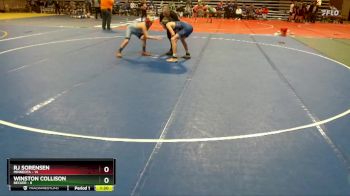 135 lbs Finals (8 Team) - RJ Sorensen, Minneota vs Winston Collison, Becker