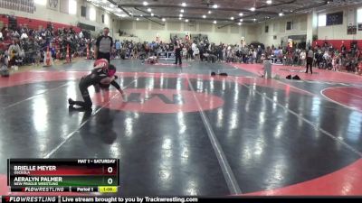 100 lbs Round 4 - Aeralyn Palmer, New Prague Wrestling vs Brielle Meyer, Osceola