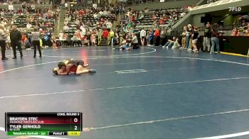 85 lbs Cons. Round 3 - Tyler Gerhold, DC Elite vs Brayden Stec, Valentine Wrestling Club