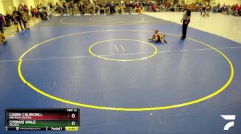 50 lbs Quarterfinal - Cygnus Walz, Staples vs Casen Churchill, Red Rock Central