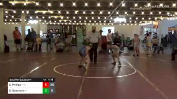 79 lbs Prelims - Tyler Conzo, Team Long Island vs Aleric Raihl, Revival