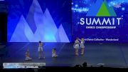 Viva Dance Collective - Wonderland [2026 Tiny - Premier - Contemporary/Lyrical Semis] 2026 The Dance Summit
