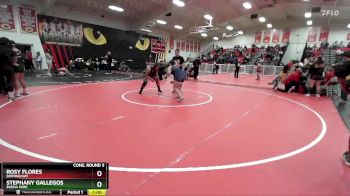 170 lbs Cons. Round 3 - Rosy Flores, Birmingham vs Stephany Gallegos, Buena Park