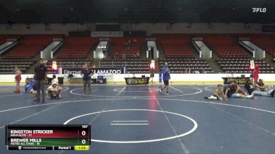 107 lbs Round 5 (6 Team) - Kingston Stricker, Ninja Elite vs Brewer Mills, Metro All Stars