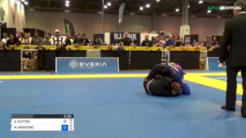 AMANDA CLIFTON vs MAYARA MONTEIRO 2018 World Master IBJJF Jiu-Jitsu Championship