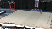 Jaelyn Chin - Ribbon - 2021 Rhythmic Elite Qualifier