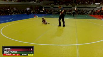 45 lbs Cons. Semi - Leo Shea, Dover-Eyota vs Collin Krumrei, Grand Rapids