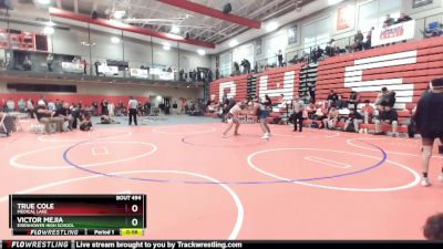 215 lbs Cons. Round 4 - Victor Mejia, Eisenhower High School vs True Cole, Medical Lake