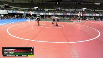 141 lbs Champ Round 1 (16 Team) - David Panone, Elizabethtown vs Ryan Yocum, St. Vincent